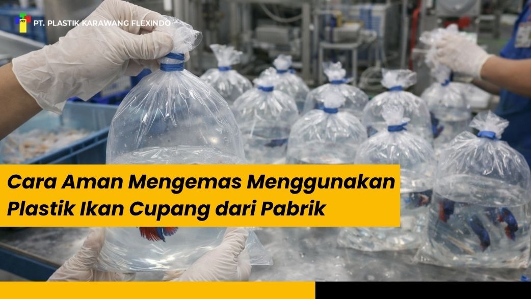 Cara Aman Mengemas Menggunakan Plastik Ikan Cupang dari Pabrik