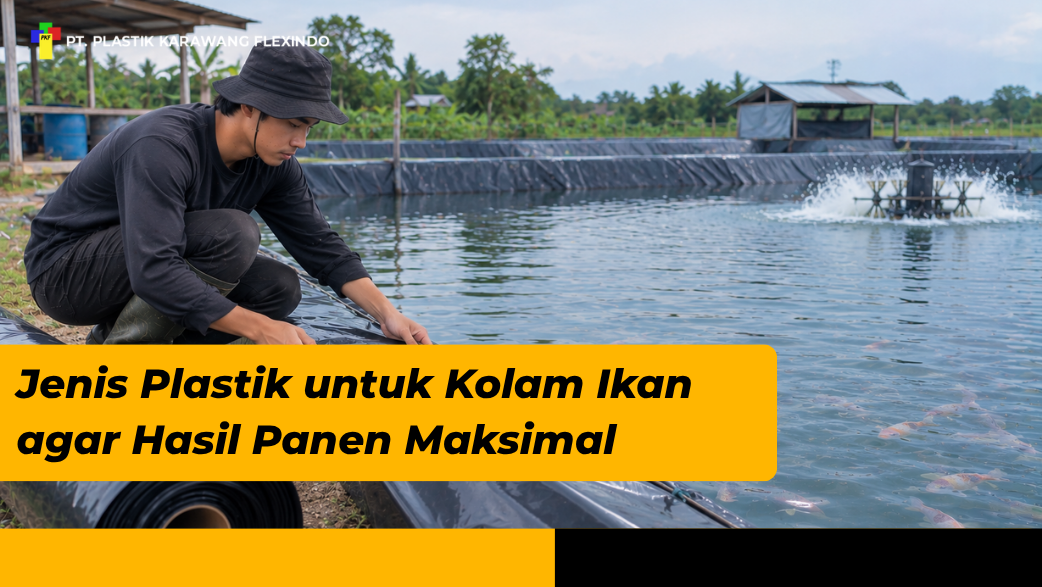 Jenis Plastik untuk Kolam Ikan agar Hasil Panen Maksimal