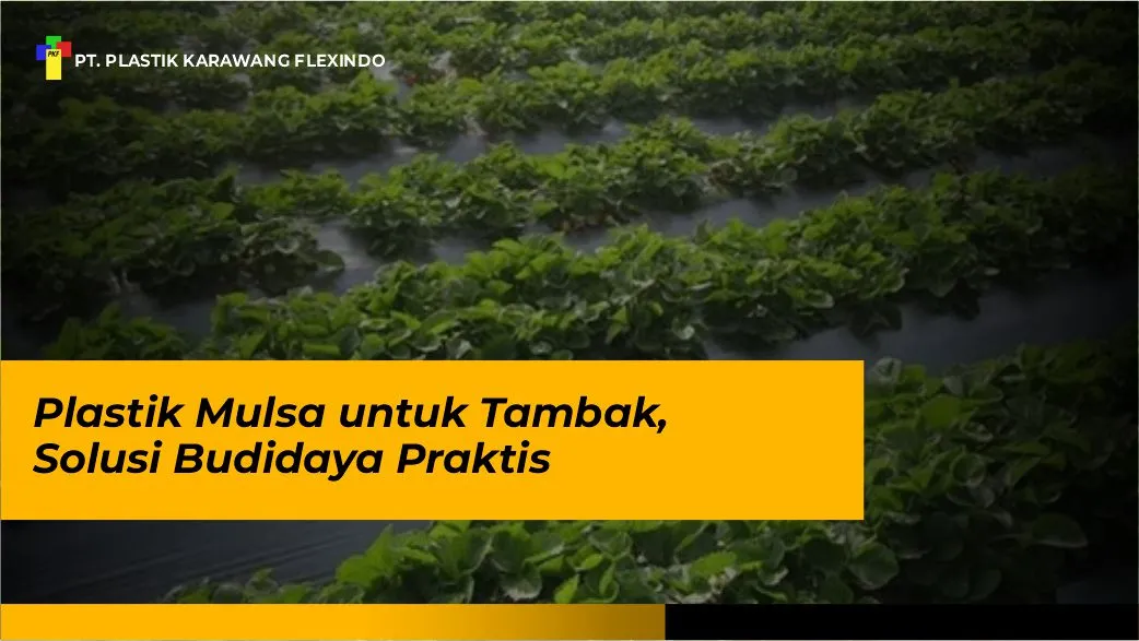 Plastik Mulsa untuk Tambak, Solusi Budidaya Praktis